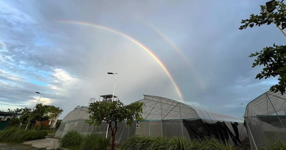 Sky view of Inthanou Farm